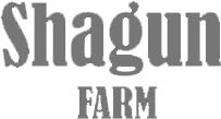 Our Partners